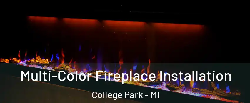 Multi-Color Fireplace Installation College Park - MI