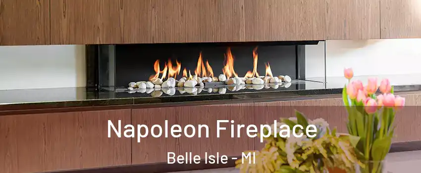 Napoleon Fireplace Belle Isle - MI