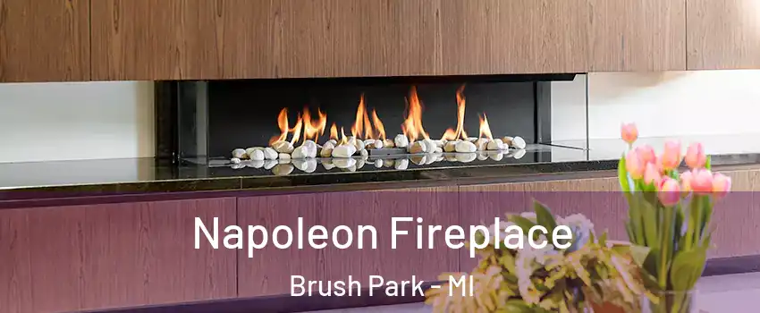 Napoleon Fireplace Brush Park - MI