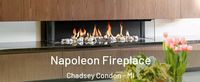 Napoleon Fireplace Chadsey Condon - MI