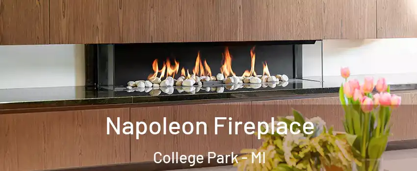 Napoleon Fireplace College Park - MI