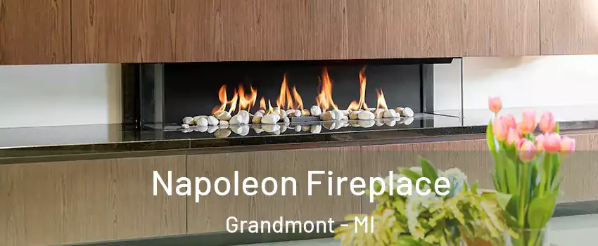Napoleon Fireplace Grandmont - MI