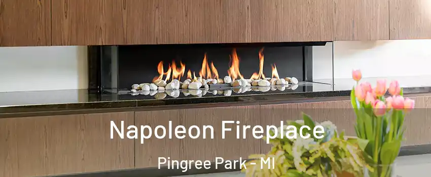 Napoleon Fireplace Pingree Park - MI