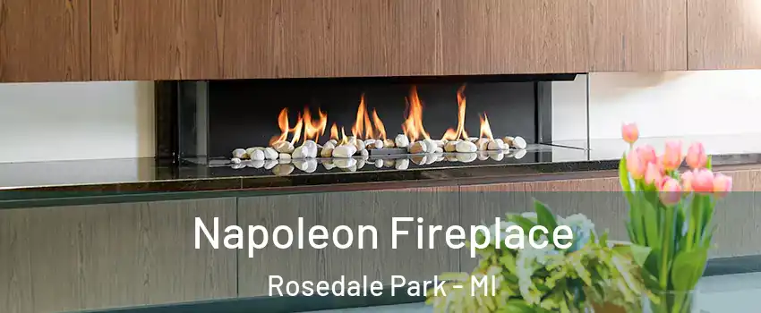 Napoleon Fireplace Rosedale Park - MI