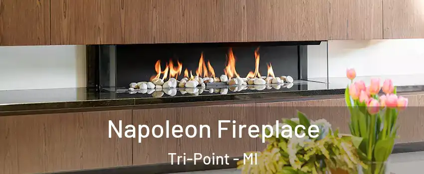 Napoleon Fireplace Tri-Point - MI