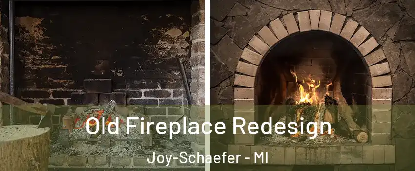 Old Fireplace Redesign Joy-Schaefer - MI