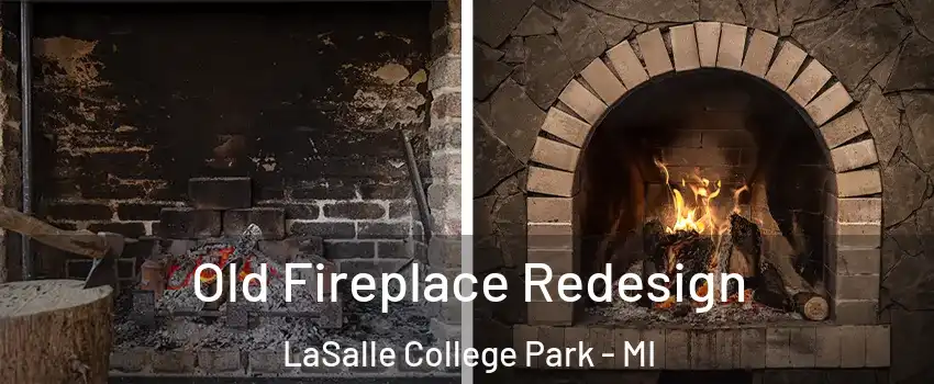 Old Fireplace Redesign LaSalle College Park - MI