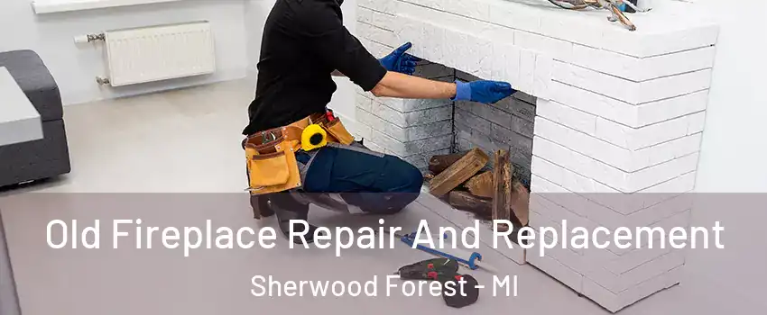 Old Fireplace Repair And Replacement Sherwood Forest - MI