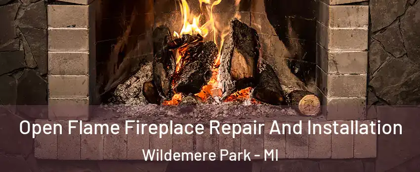 Open Flame Fireplace Repair And Installation Wildemere Park - MI