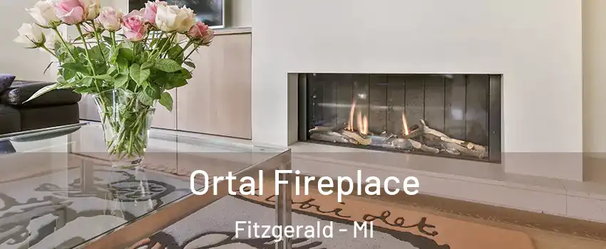 Ortal Fireplace Fitzgerald - MI