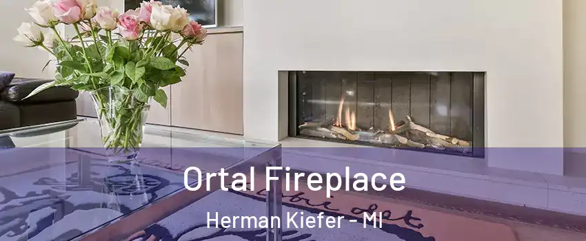 Ortal Fireplace Herman Kiefer - MI