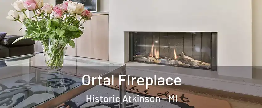 Ortal Fireplace Historic Atkinson - MI