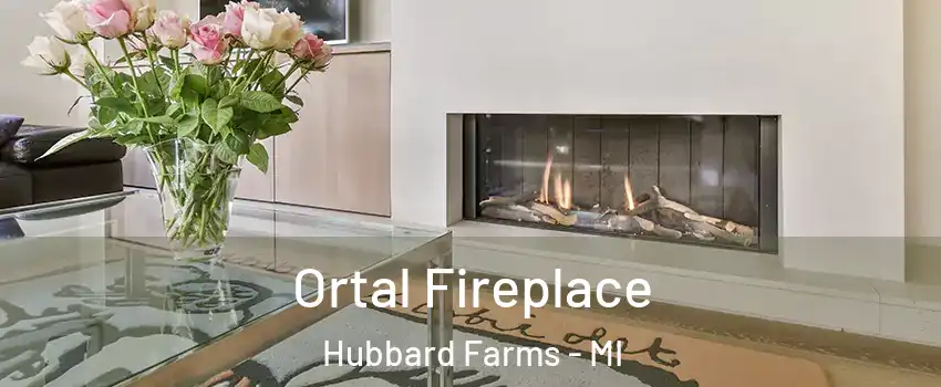 Ortal Fireplace Hubbard Farms - MI