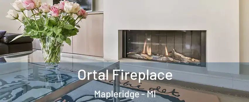 Ortal Fireplace Mapleridge - MI