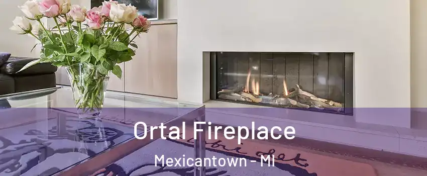 Ortal Fireplace Mexicantown - MI