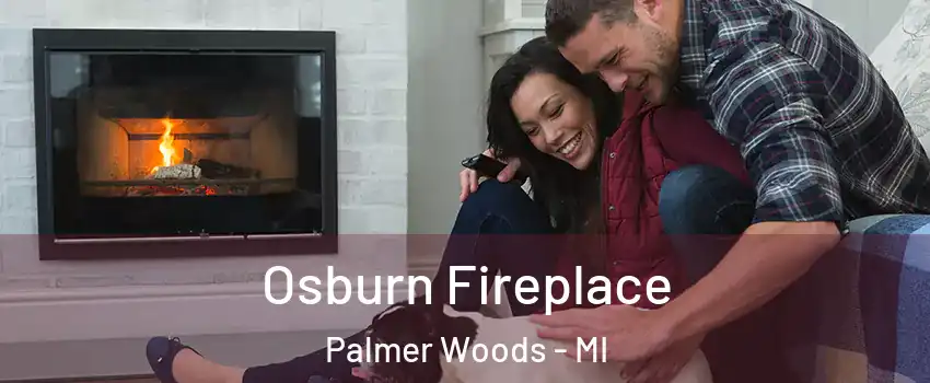 Osburn Fireplace Palmer Woods - MI