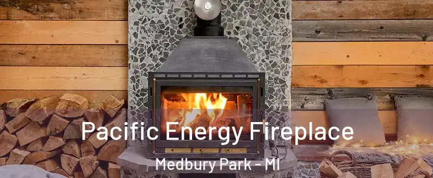 Pacific Energy Fireplace Medbury Park - MI
