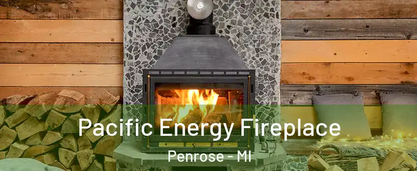 Pacific Energy Fireplace Penrose - MI