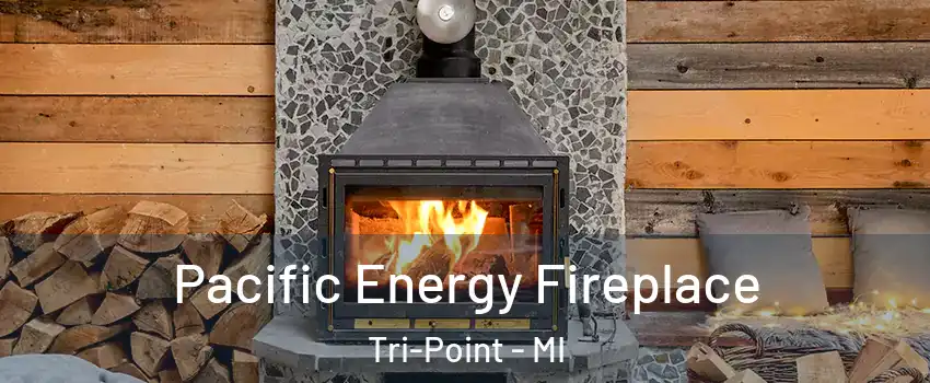 Pacific Energy Fireplace Tri-Point - MI