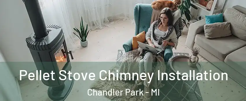 Pellet Stove Chimney Installation Chandler Park - MI