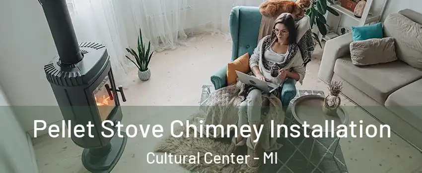 Pellet Stove Chimney Installation Cultural Center - MI