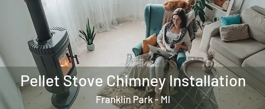 Pellet Stove Chimney Installation Franklin Park - MI