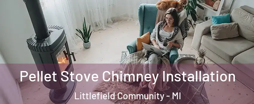 Pellet Stove Chimney Installation Littlefield Community - MI