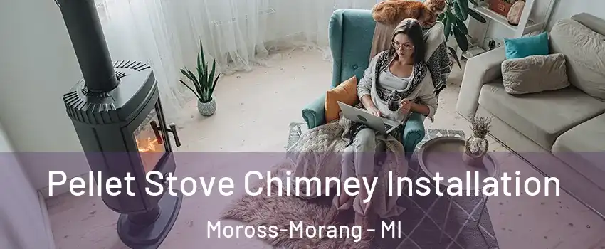 Pellet Stove Chimney Installation Moross-Morang - MI