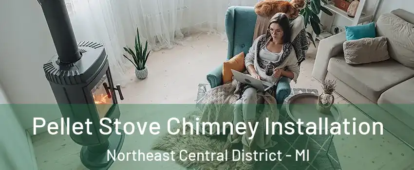 Pellet Stove Chimney Installation Northeast Central District - MI
