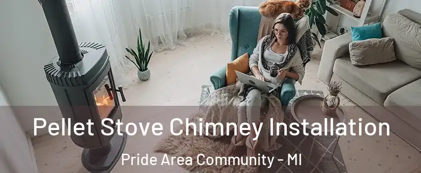Pellet Stove Chimney Installation Pride Area Community - MI
