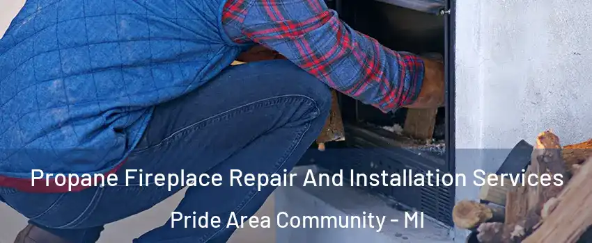 Propane Fireplace Repair And Installation Services Pride Area Community - MI