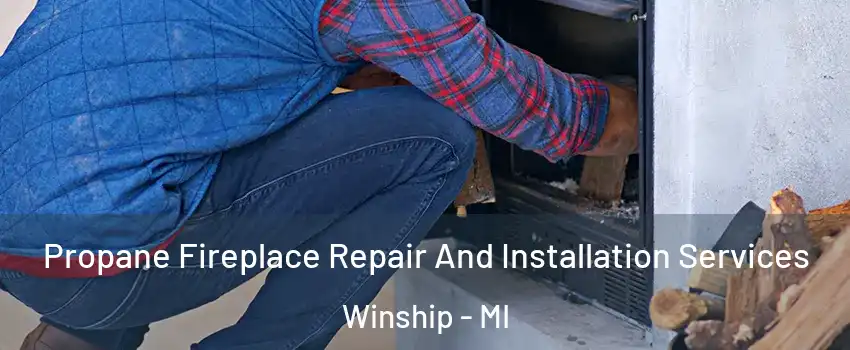 Propane Fireplace Repair And Installation Services Winship - MI