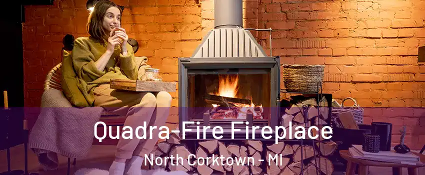 Quadra-Fire Fireplace North Corktown - MI