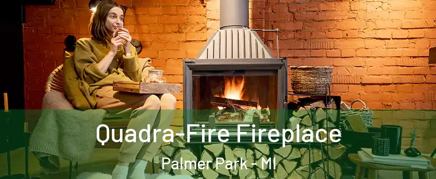 Quadra-Fire Fireplace Palmer Park - MI