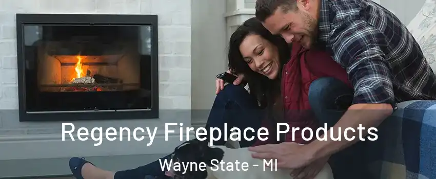 Regency Fireplace Products Wayne State - MI