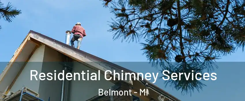 Residential Chimney Services Belmont - MI
