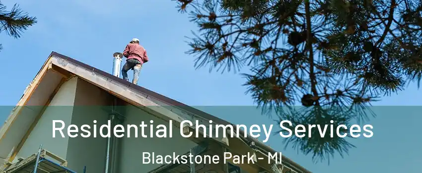 Residential Chimney Services Blackstone Park - MI