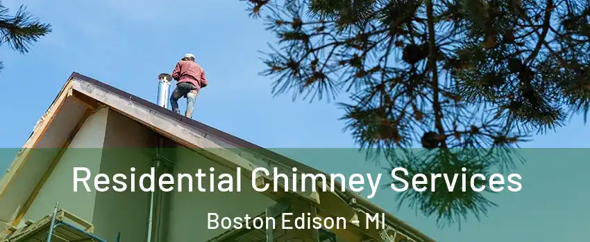 Residential Chimney Services Boston Edison - MI