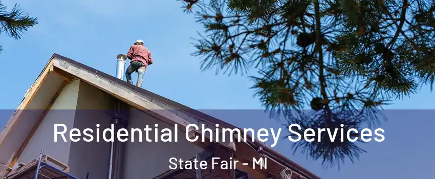 Residential Chimney Services State Fair - MI