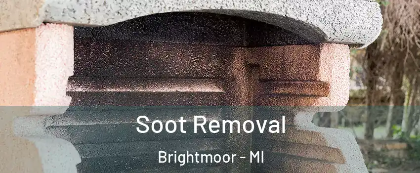 Soot Removal Brightmoor - MI