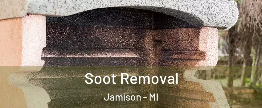 Soot Removal Jamison - MI