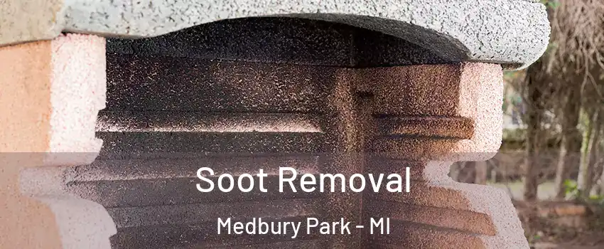 Soot Removal Medbury Park - MI