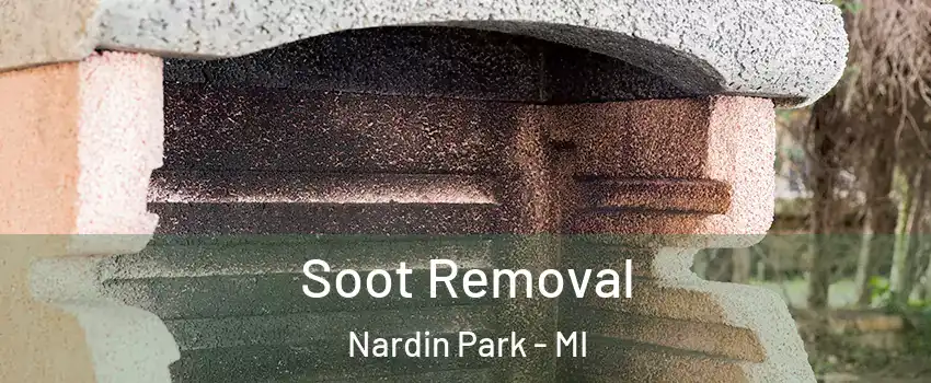 Soot Removal Nardin Park - MI