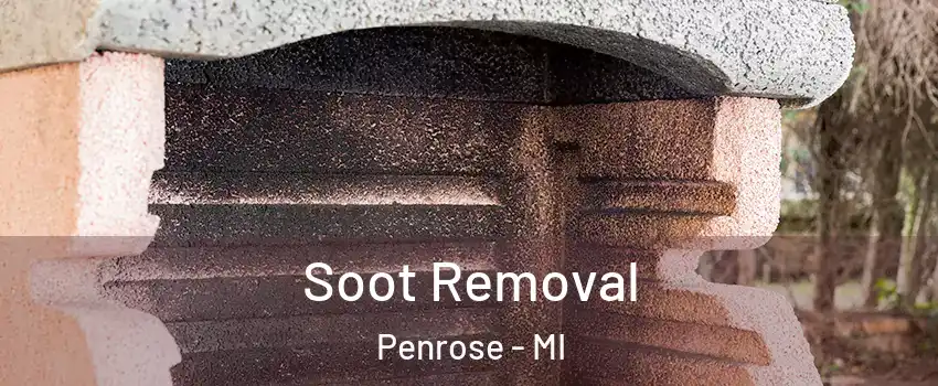 Soot Removal Penrose - MI