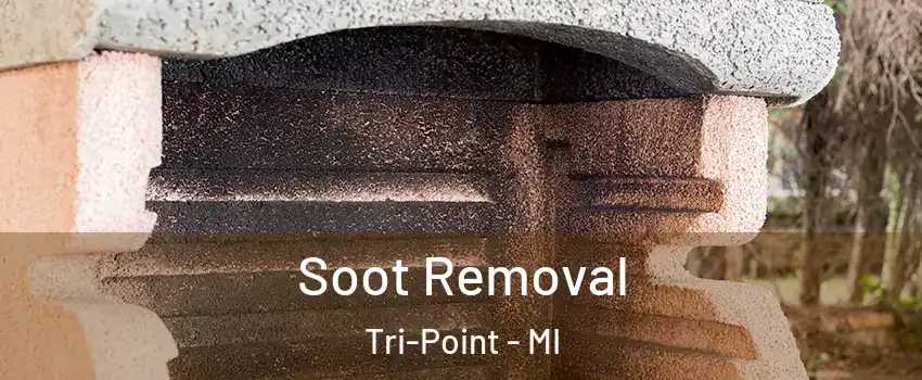 Soot Removal Tri-Point - MI