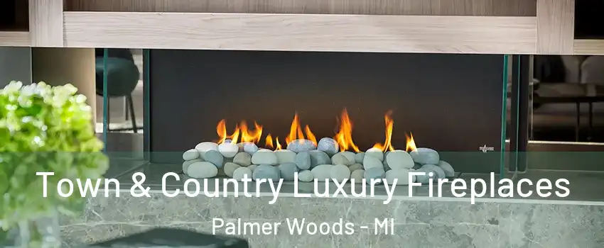 Town & Country Luxury Fireplaces Palmer Woods - MI