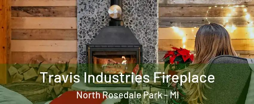 Travis Industries Fireplace North Rosedale Park - MI