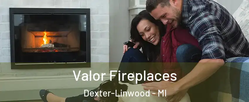 Valor Fireplaces Dexter-Linwood - MI