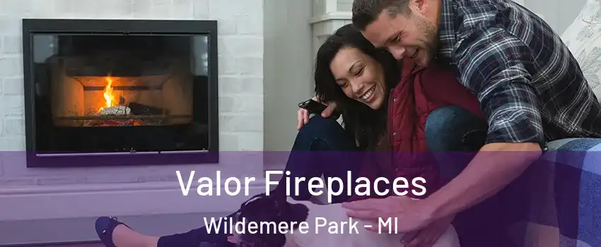 Valor Fireplaces Wildemere Park - MI
