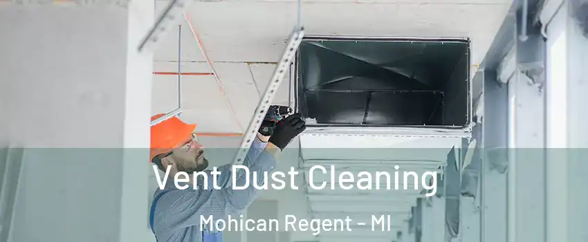 Vent Dust Cleaning Mohican Regent - MI